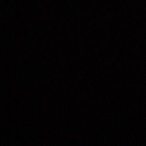 Meet your Posher, Anise